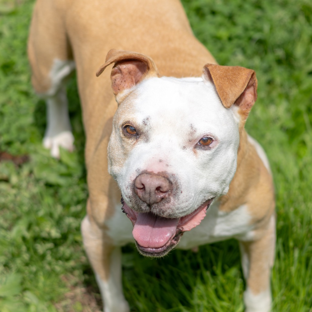 Vinnie, additional photo