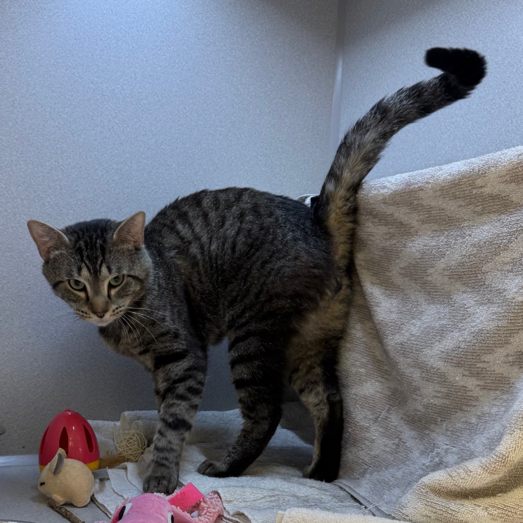 Photo of Sashimi 15