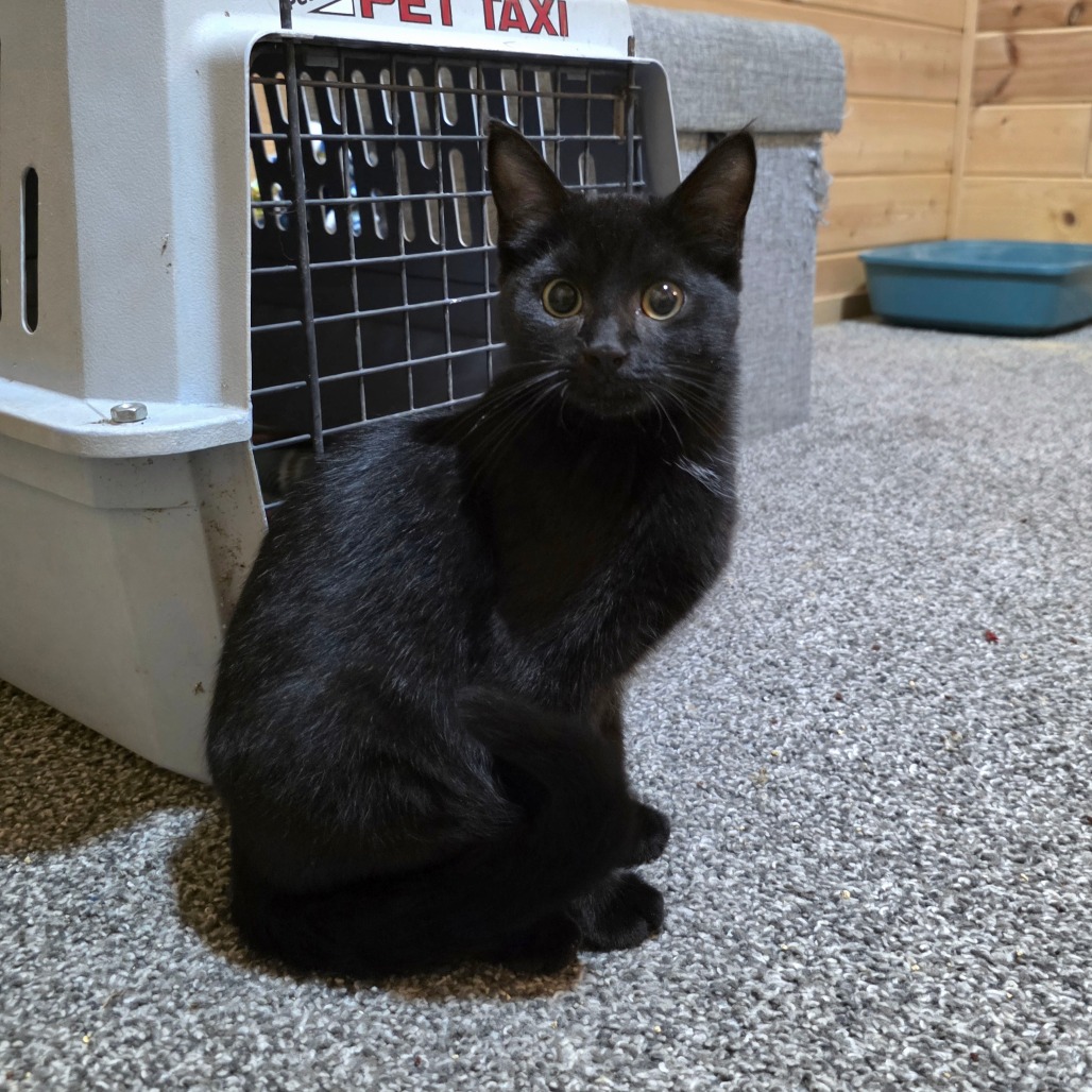 Salem