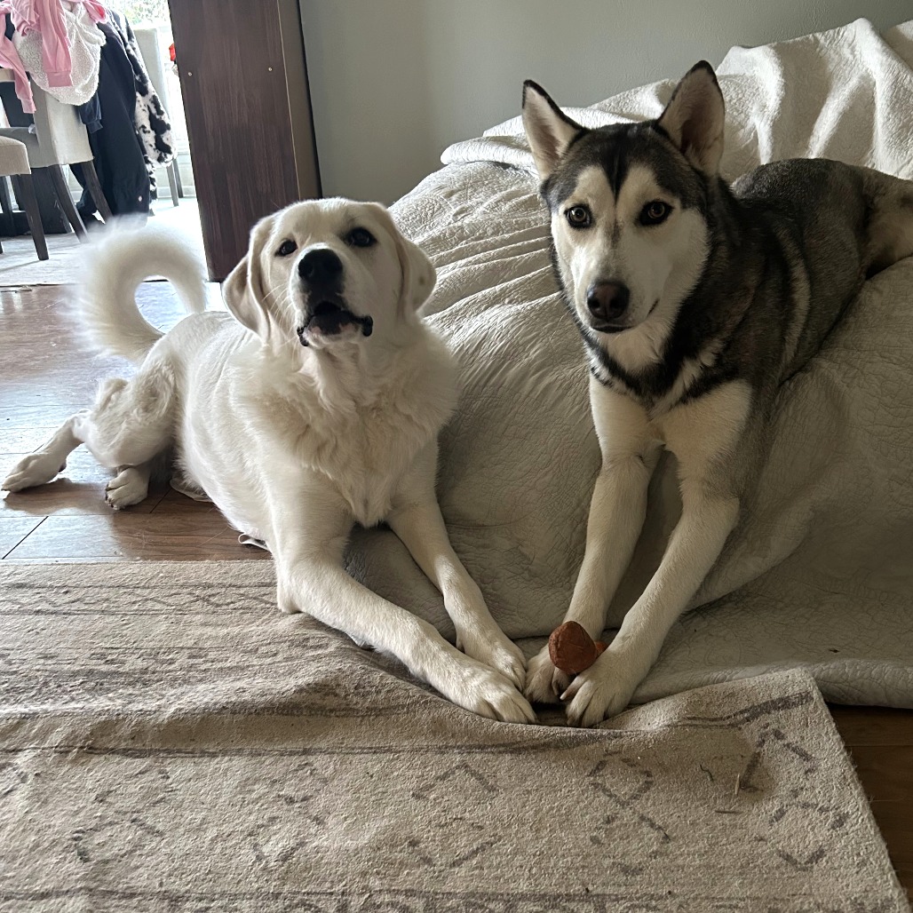 Kai, photo 8