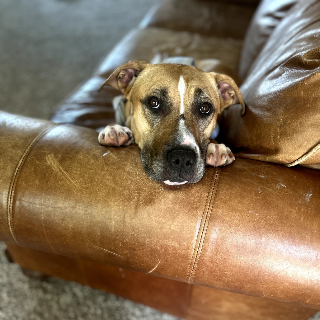 Ruthie, photo 12