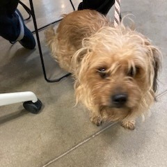 a8b5214565d7dd3c8a9a273d5f2257e1