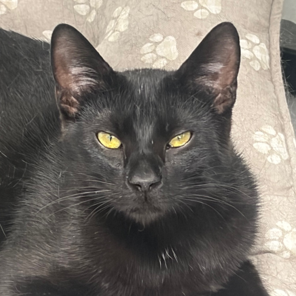 Oliver