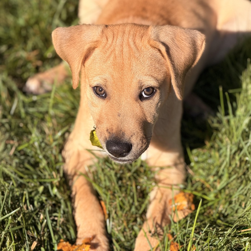 Gus photo 5