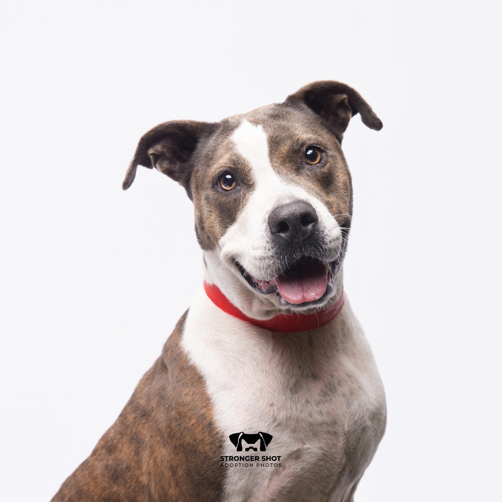 Roxy 2