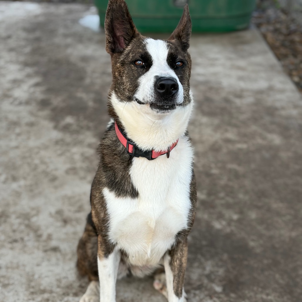 Sophie photo 12