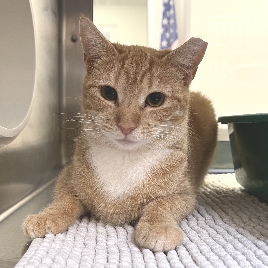 30a2107ef0f96093e5f7cb55c3805267