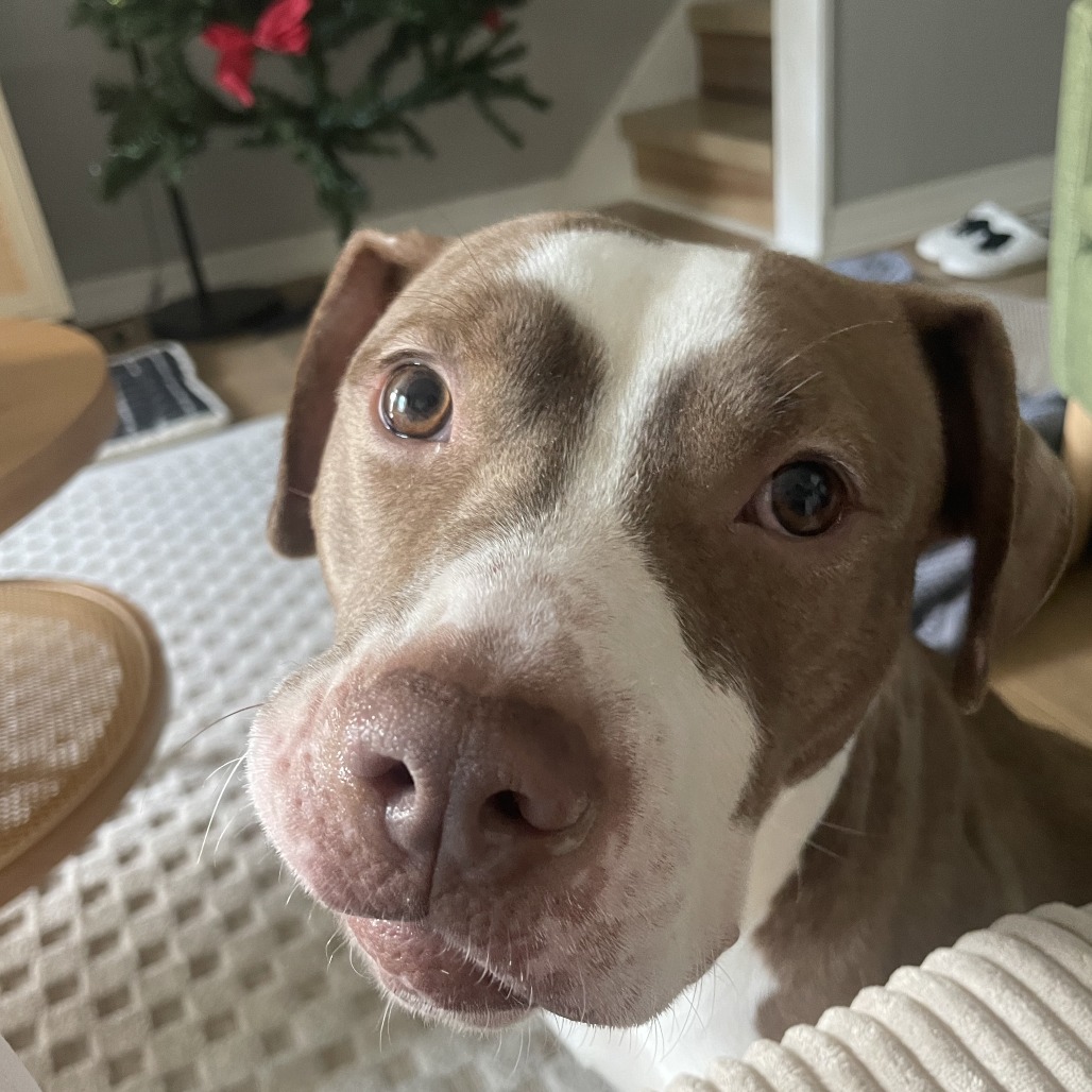 Rebecca — thumbnail 2