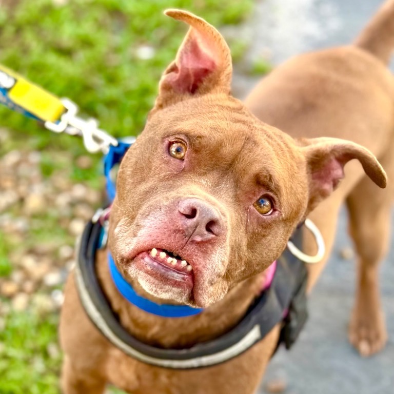 Full body shot of Peter Pan