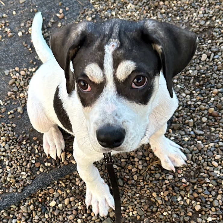Tracker, photo 17