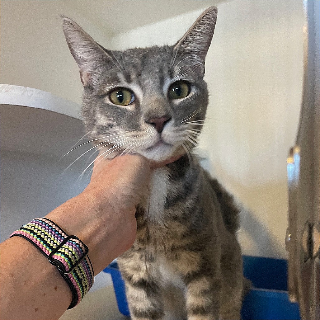 Dennis — thumbnail 2