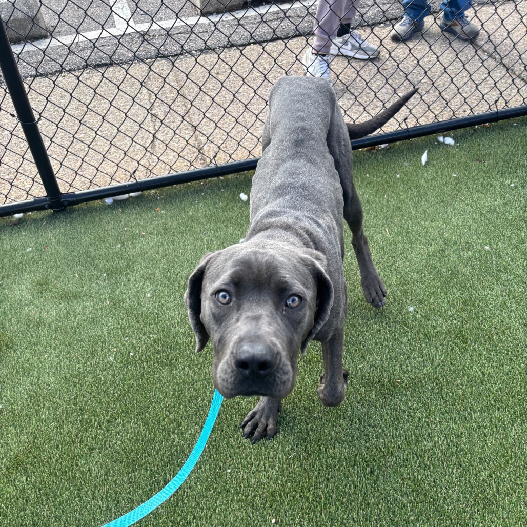 Jos Scarborough — thumbnail 5