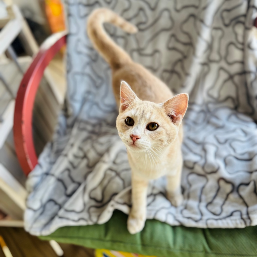 Swish — thumbnail 5