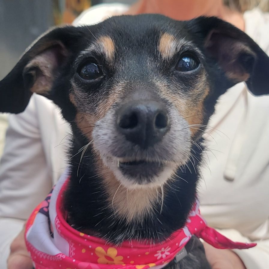 Peggy, photo 22