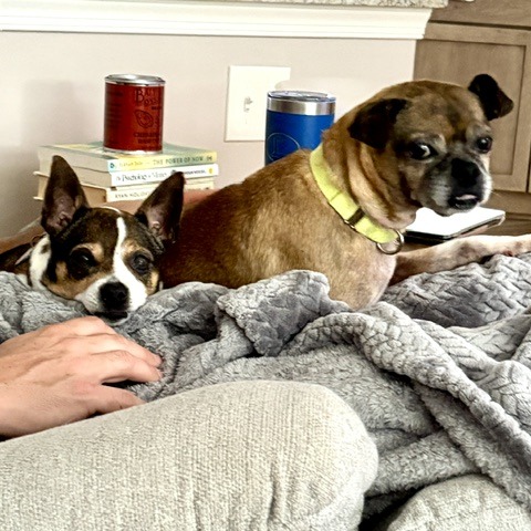 Frankie, additional photo