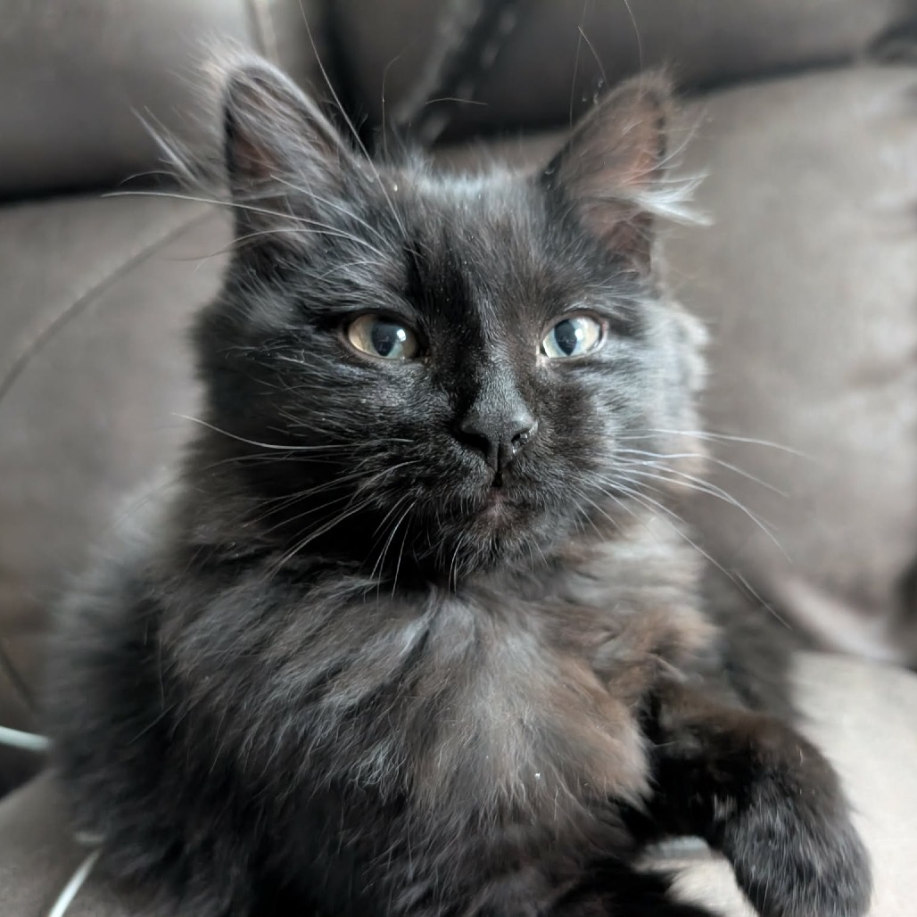 Krampus — thumbnail 2