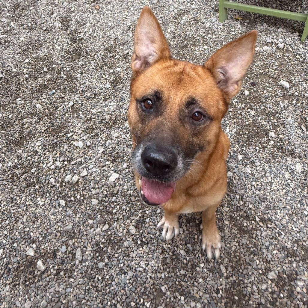 Honey-Foster — thumbnail 2