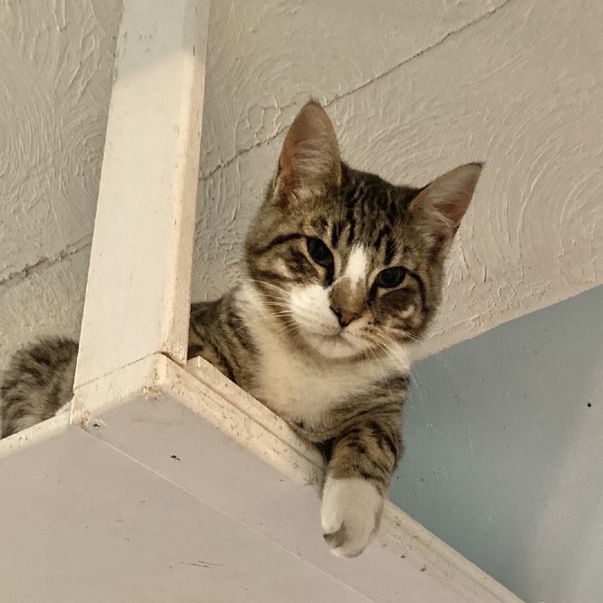 Exxon — thumbnail 4