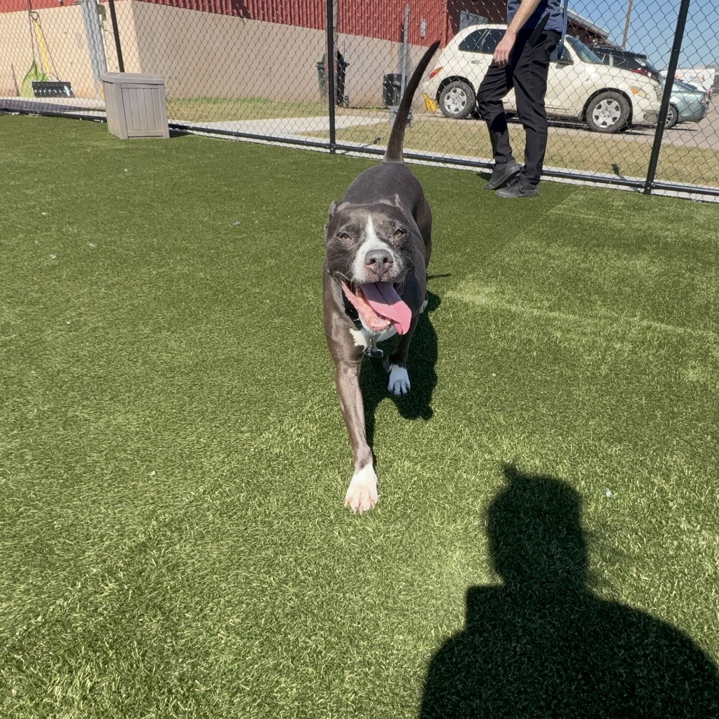 Shayla — thumbnail 4