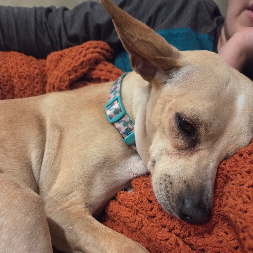 Lilly — thumbnail 5