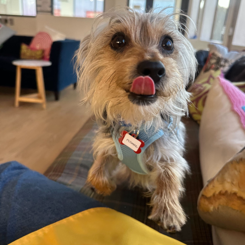 Fillmore 13764 — thumbnail 4