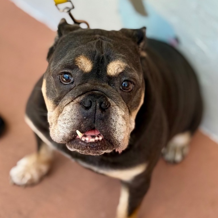 Close-up photo of Andy