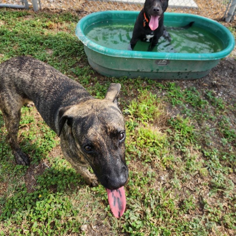 Murph photo 24
