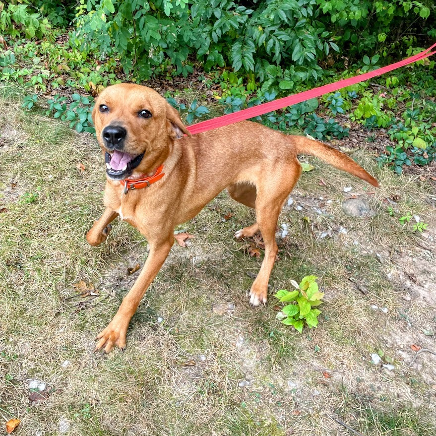 Darla — thumbnail 2