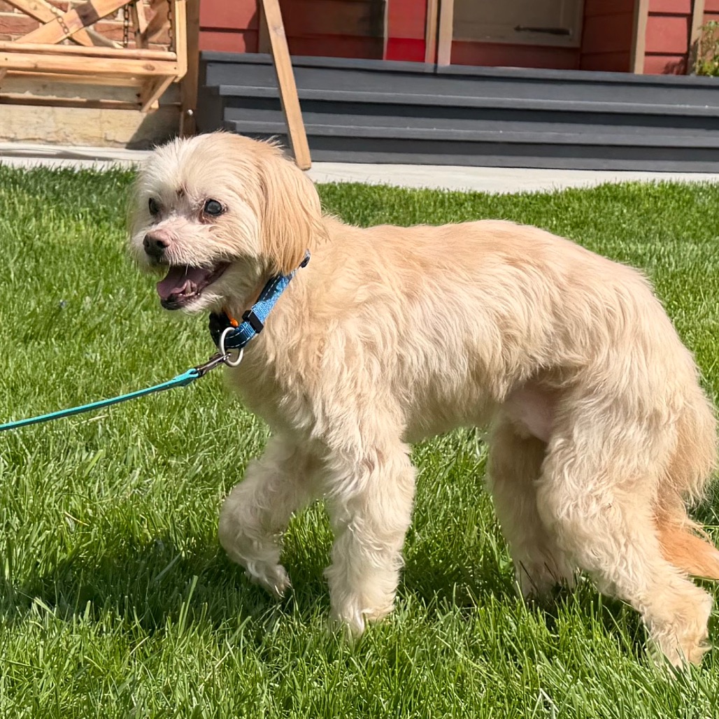 Crouton (Jelani), photo 16