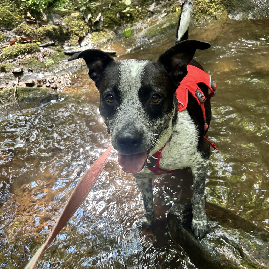 Tracker, photo 19