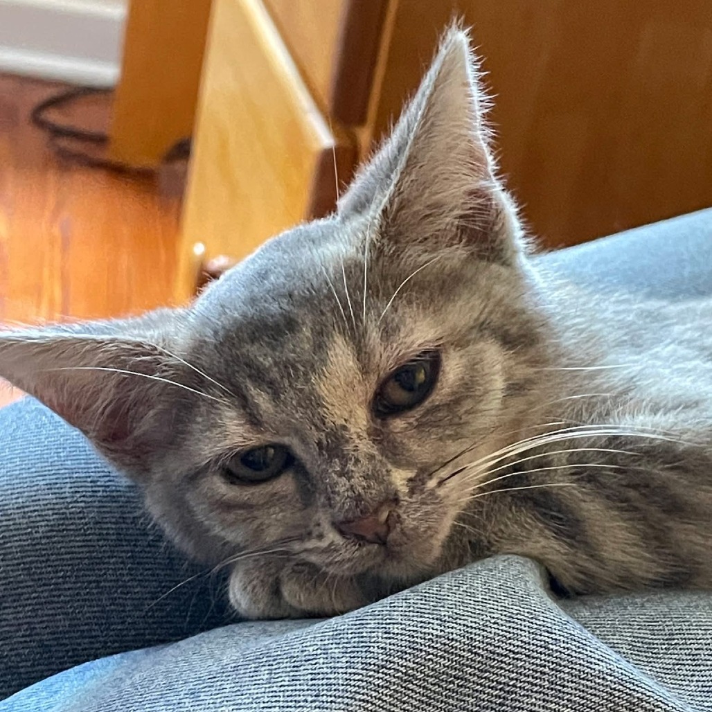 Photo of Nina