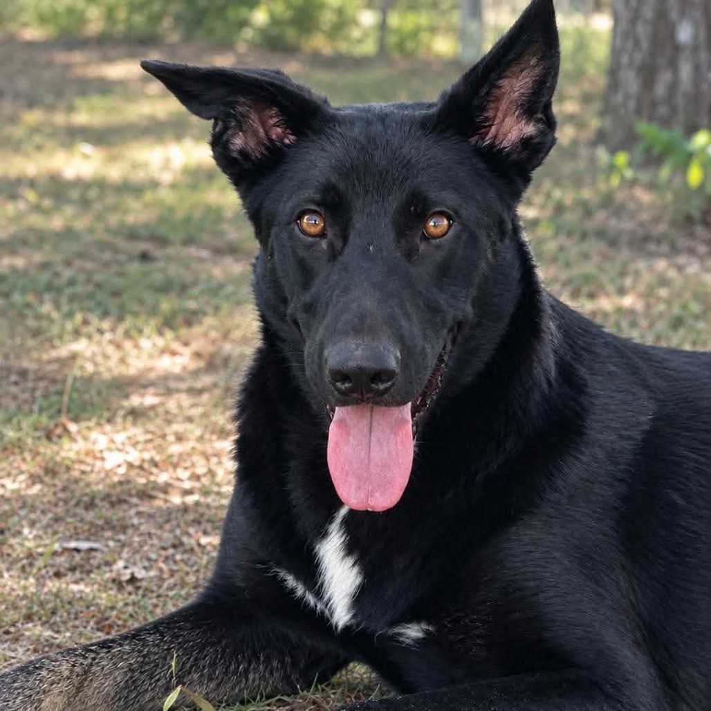 Photo of Lisa