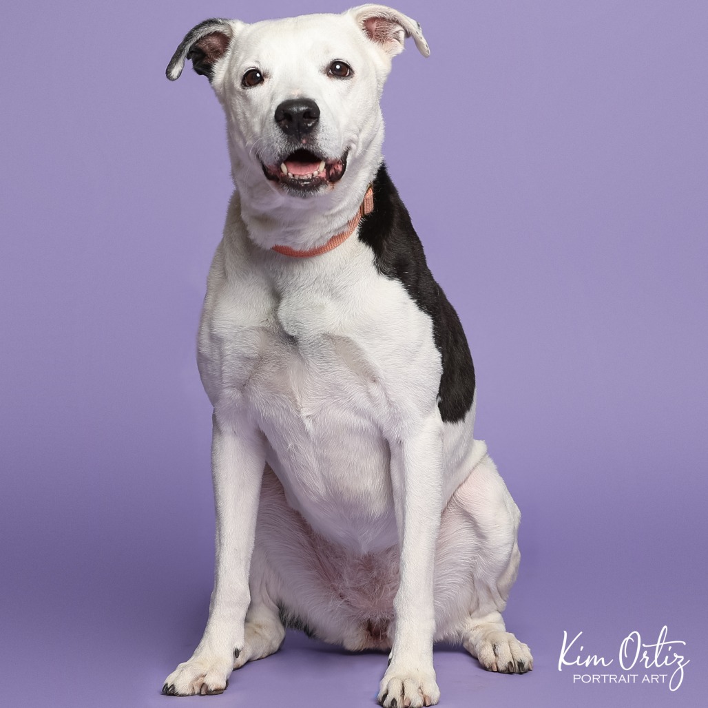 Antoinette — thumbnail 7