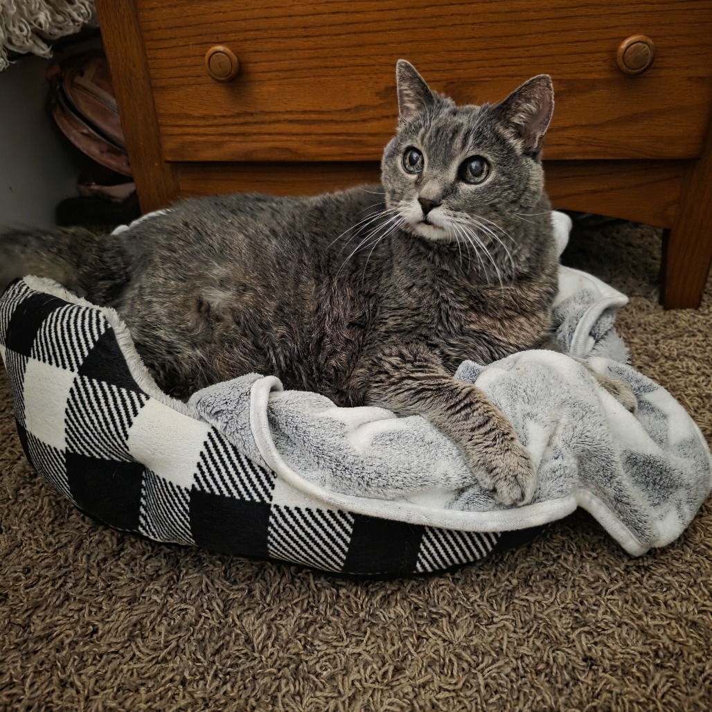 Tallulah