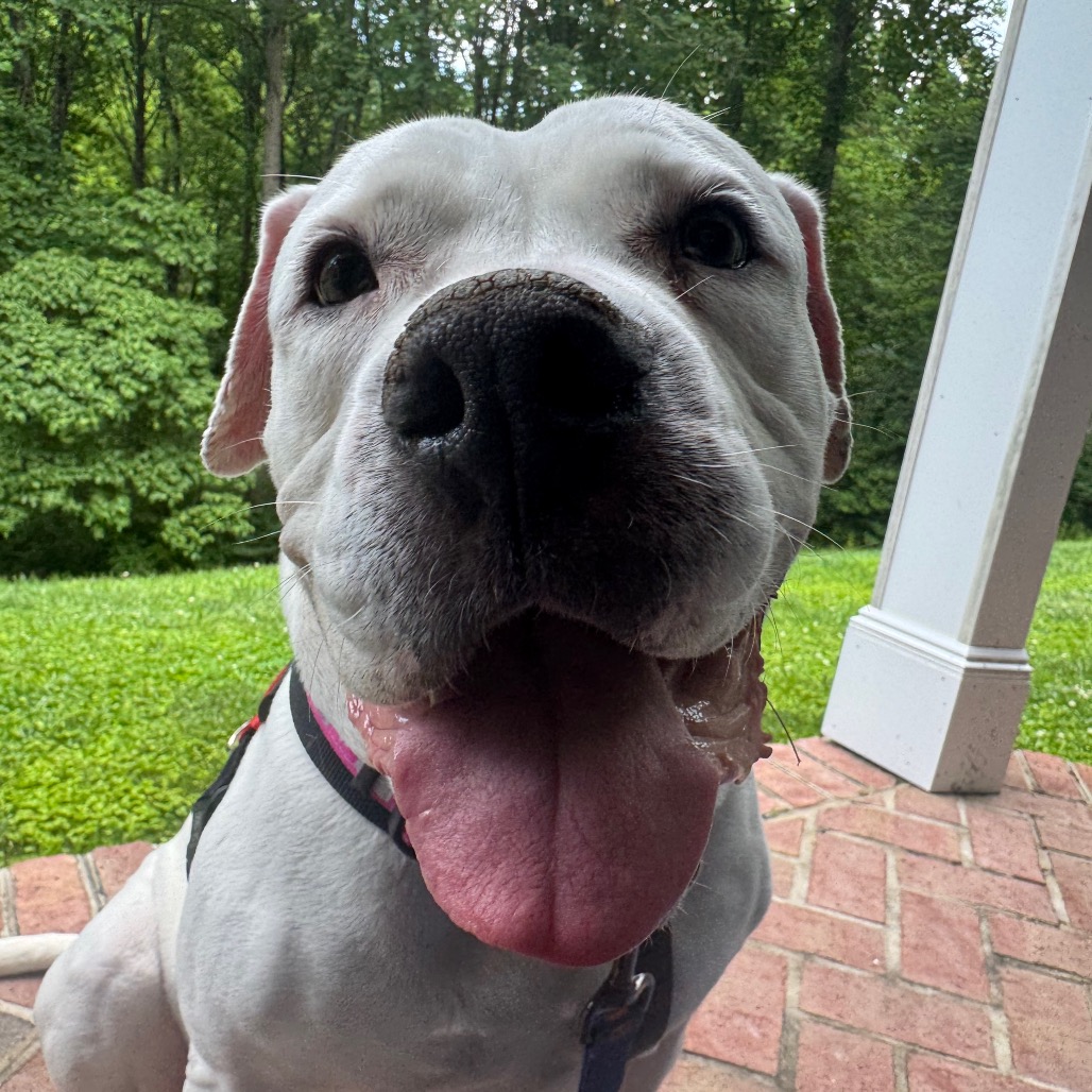 Marley, photo 26