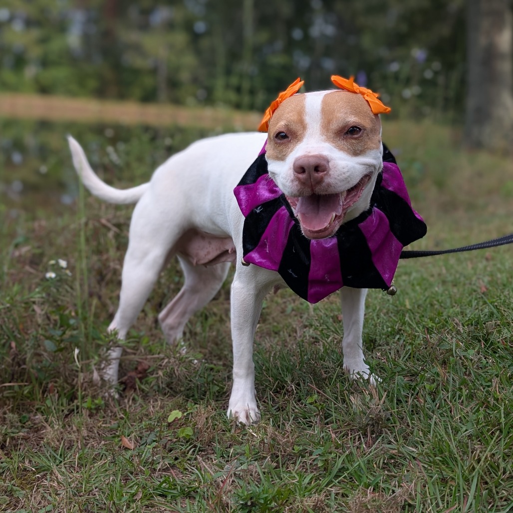 Athena 07-0806, photo 8