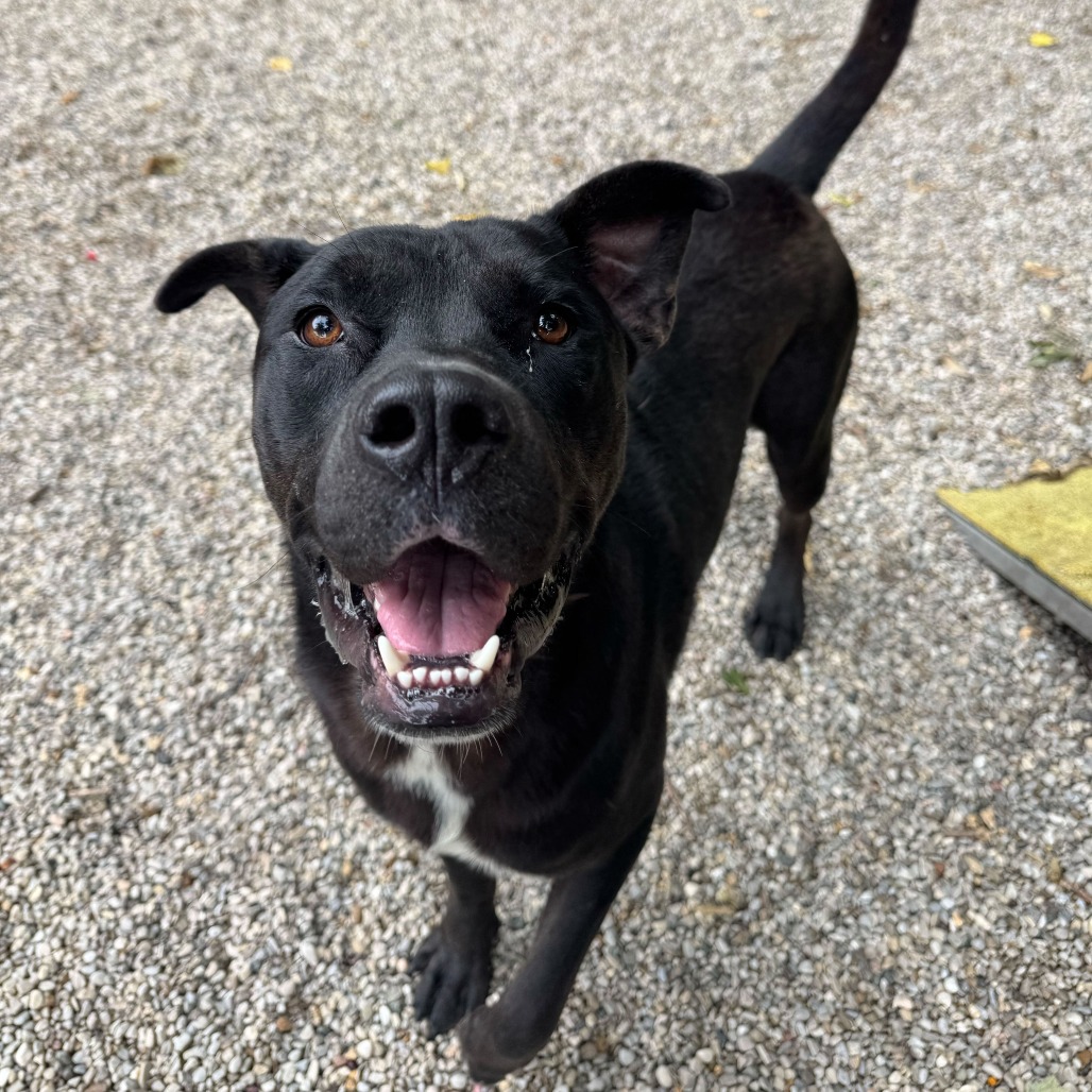 Bret — thumbnail 3