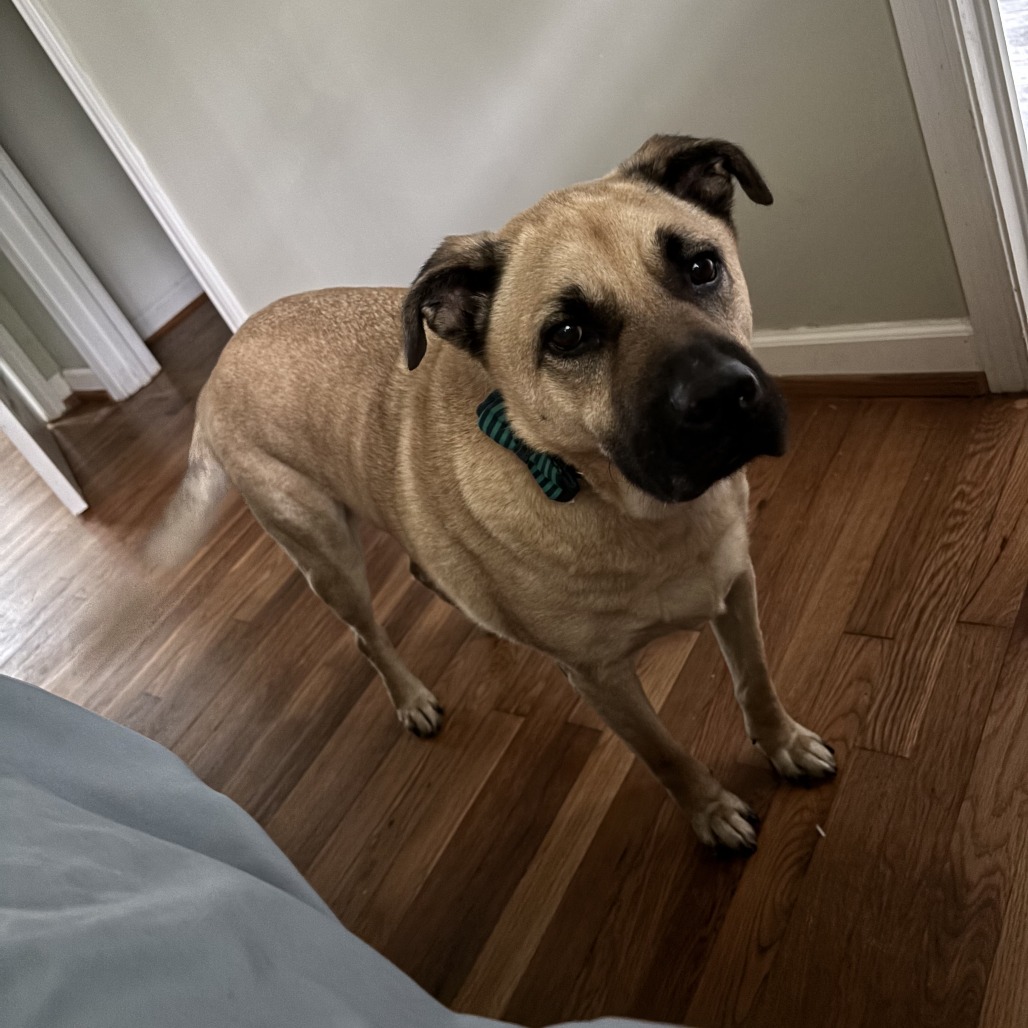 Winston (I have a Secret Crush!), additional photo