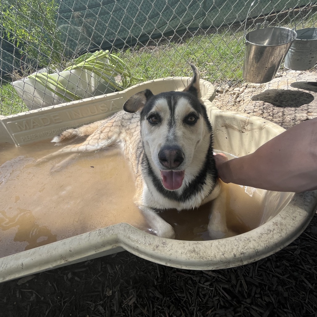 BINDI, photo 14