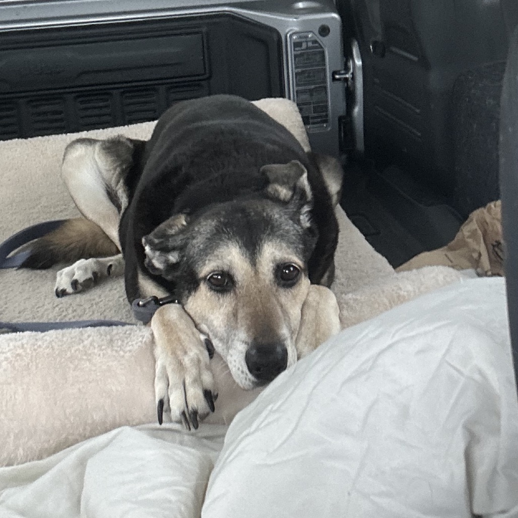 MADDY, photo 16