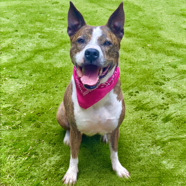 Eloise — thumbnail 5