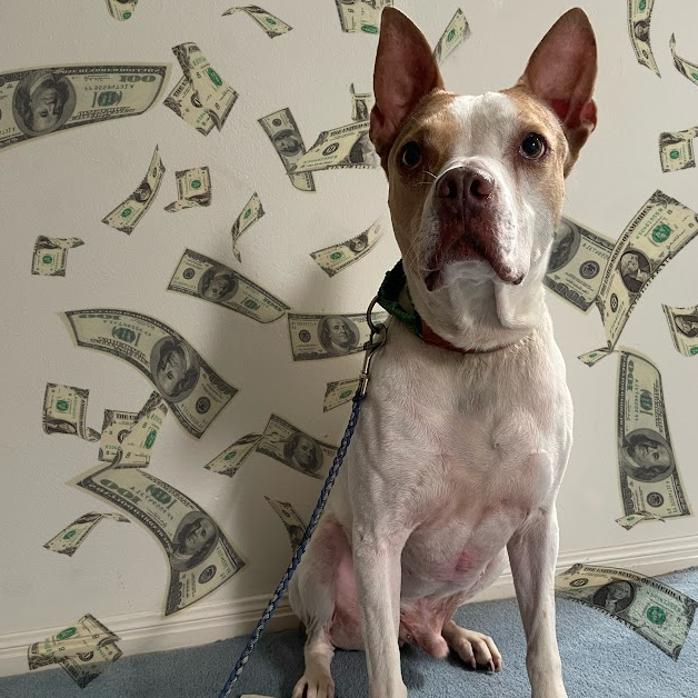 Cash, additional photo