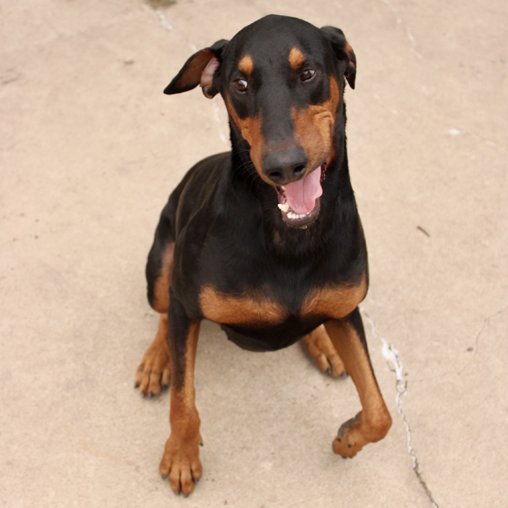 Thor photo 24