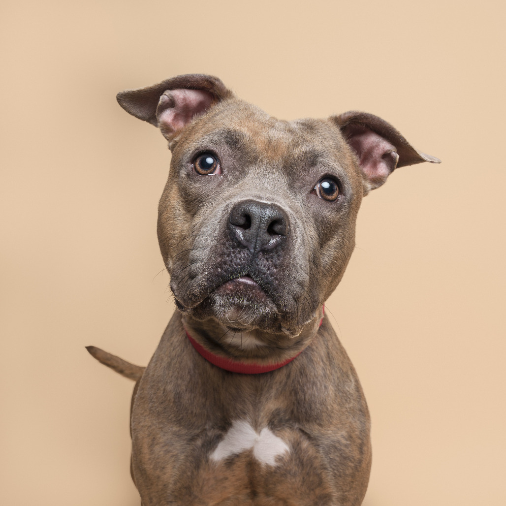 Photo of Sage