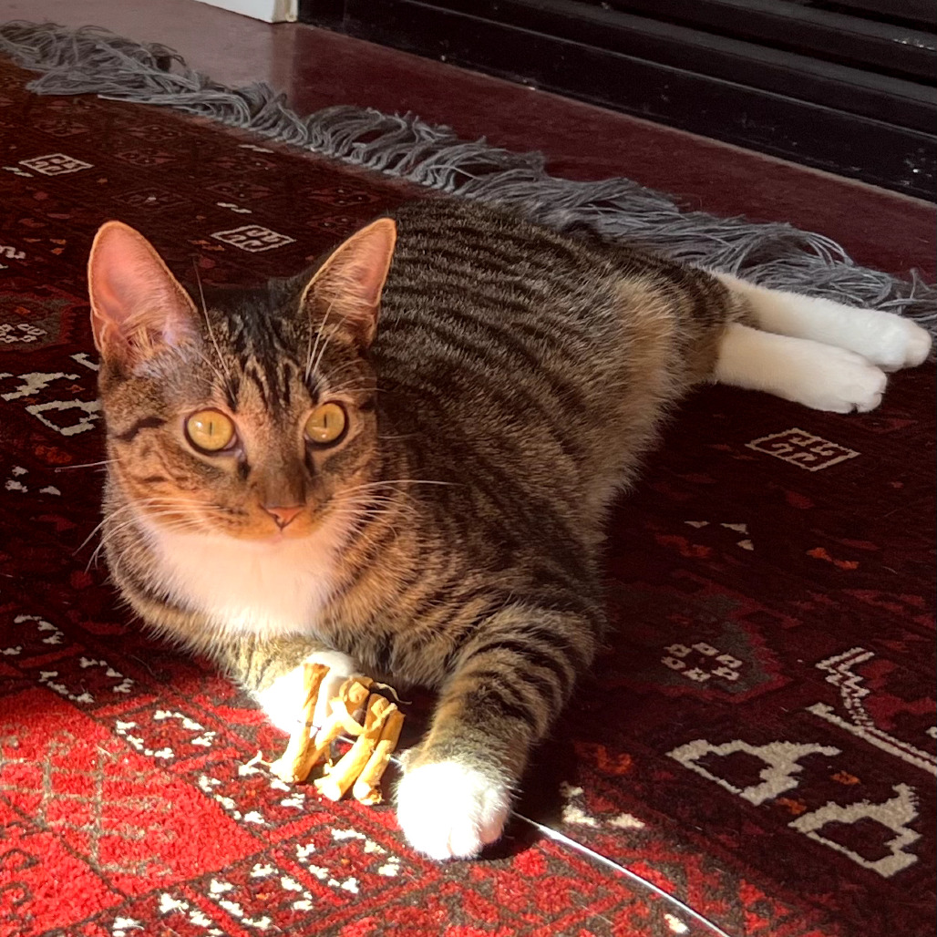 Minnie — thumbnail 3