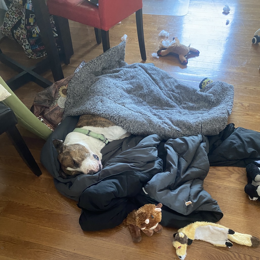 Jax, additional photo