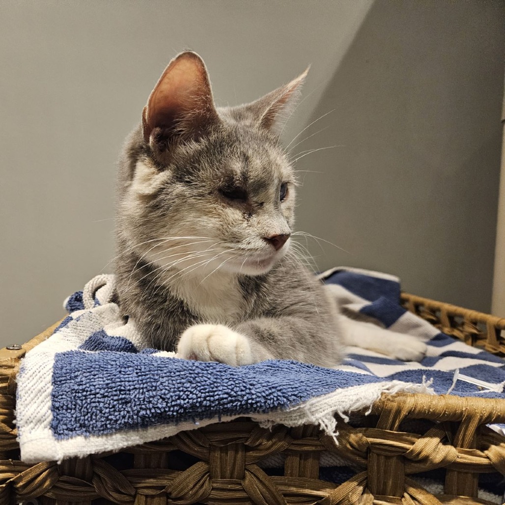 Elle Driver — thumbnail 11