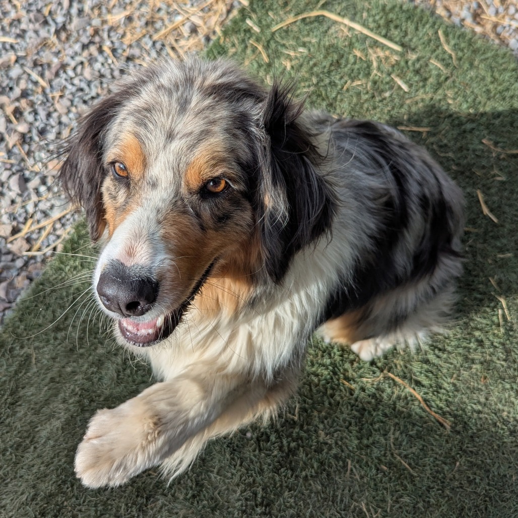 LEVI, photo 23