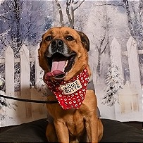 Photo of Mason