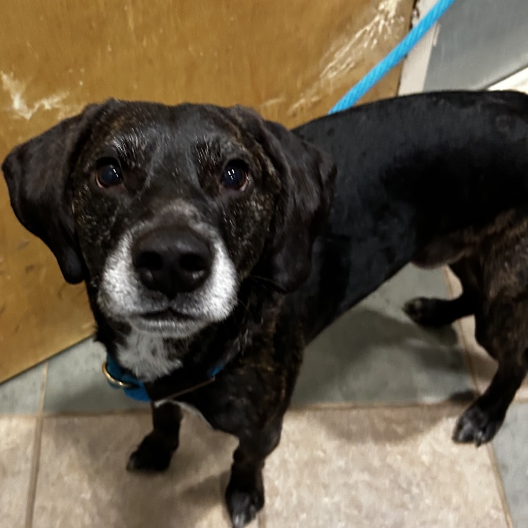 Derrick — thumbnail 3